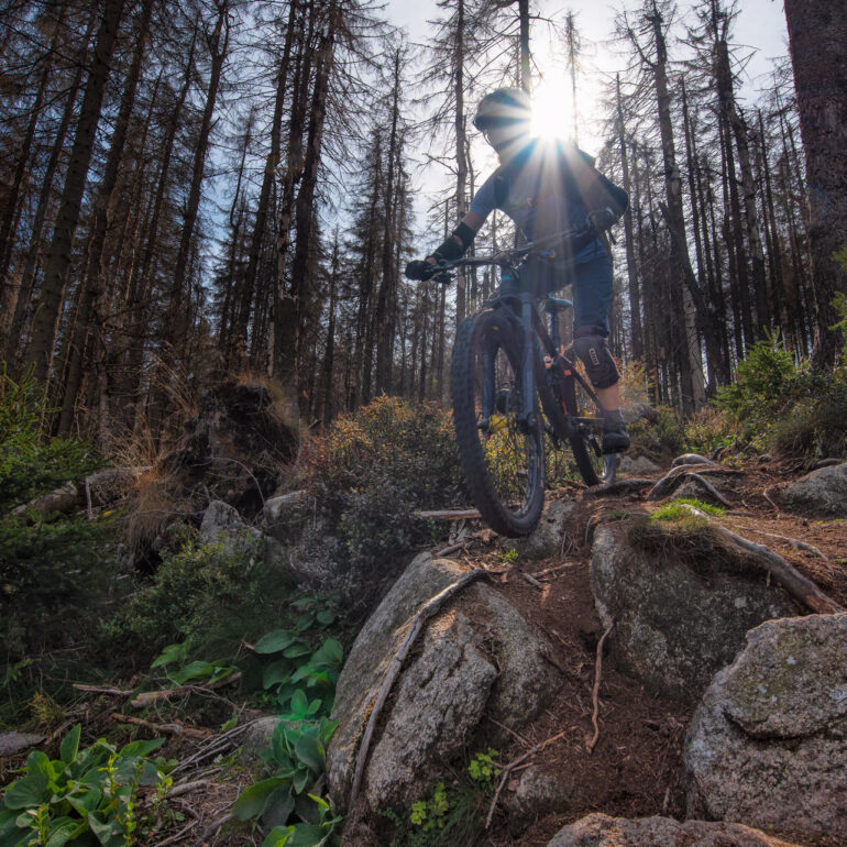 Harz Höllenstieg mit dem Mountainbike im Harz
