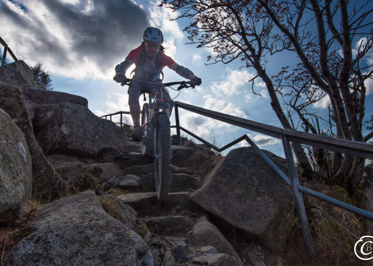 Hochkonzentriert am Achtermann im Harz - Mountainbiken