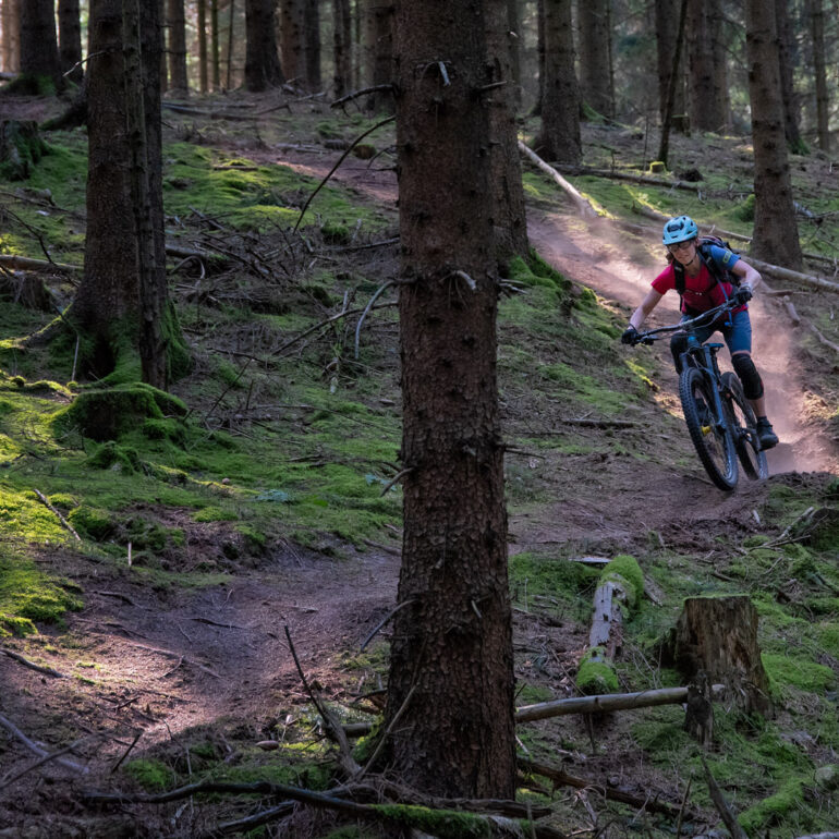 Hometrails Harburger Berge