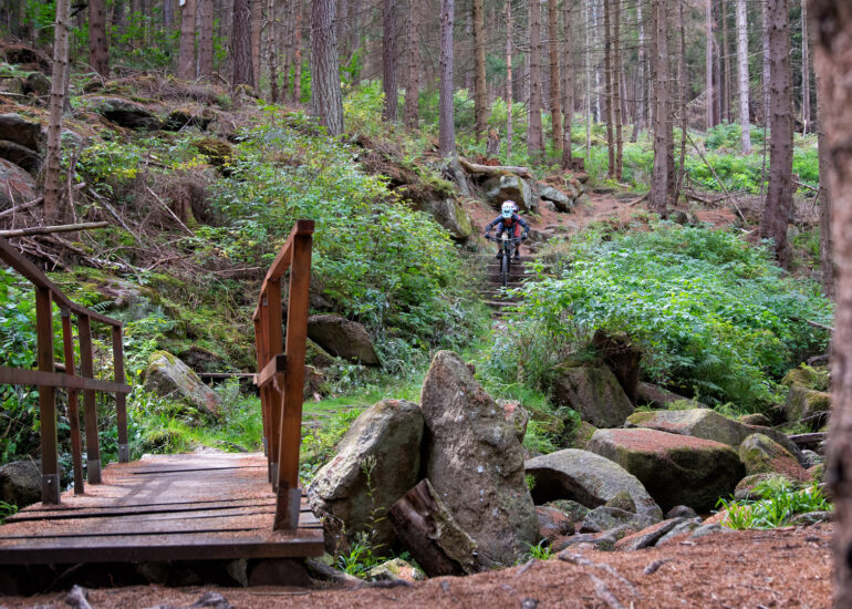 Steintreppe am Anfang der Kleinen Renne - Mit dem Mountainbike im Harz