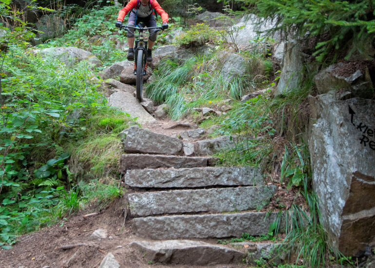 Kleine Renne Trailausgang - Mountainbiken im Harz