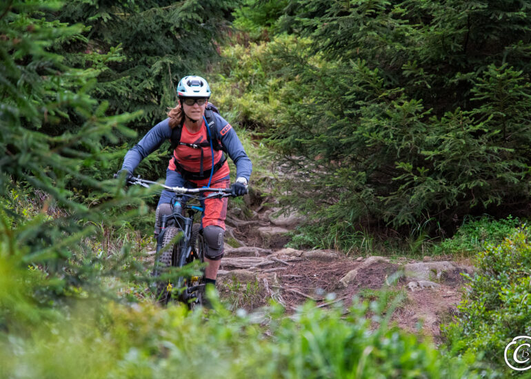 Wurzelpassage auf einem Harzer Trail beim Mountainbiken