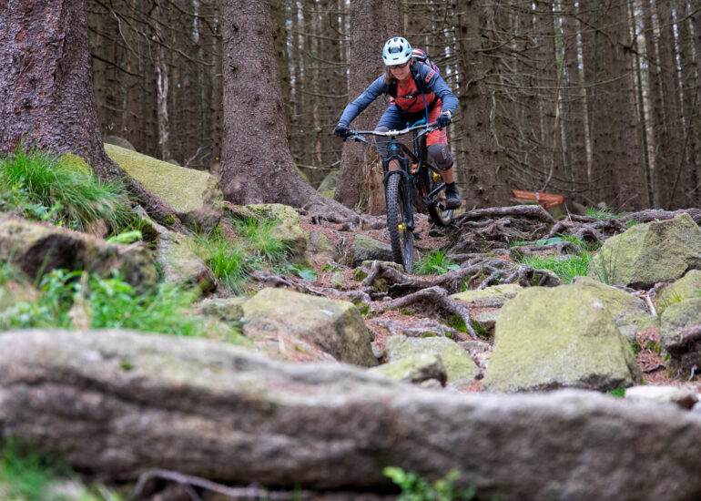 Mountainbiken - Verblockte Passage auf einem Harzer Trail