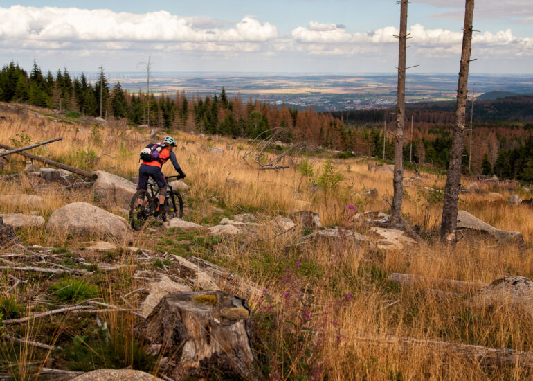 Mountainbiken im Harz - Schöne Blicke auf dem Trail