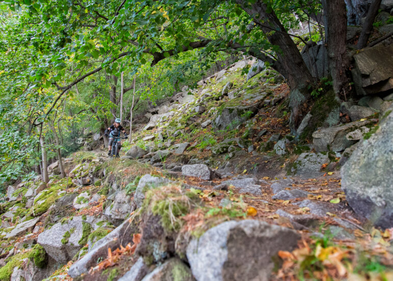 Thale Mountainbike Hirschgrund Trail
