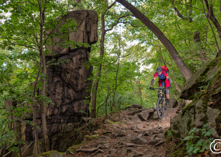 Harz Mountainbike Thale Hirschgrund