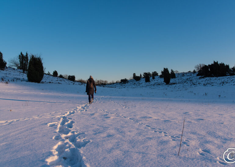 Ein Wochenende in der Winterheide 9 Wanderung Winterheide