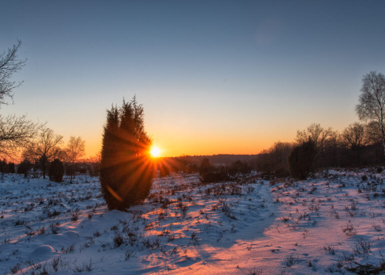 Ein Wochenende in der Winterheide 1 Die winterliche Lüneburger Heide erstrahlt im schönsten Abendlicht