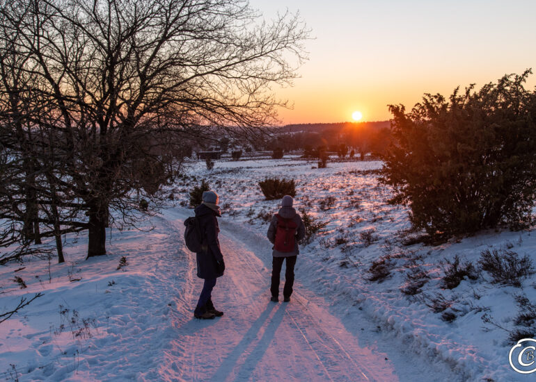 Ein Wochenende in der Winterheide 2 Sonnenblick