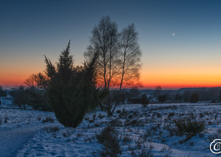 Ein Wochenende in der Winterheide 3 Sonnenuntergang am Wilseder Berg in der Lüneburger Heide im Winter