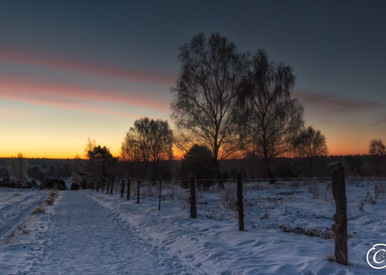 Ein Wochenende in der Winterheide 5 Wunderschöne Stimmung zum Sonnenaufgang im Radebachtal bei Undeloh, Lüneburger Heide