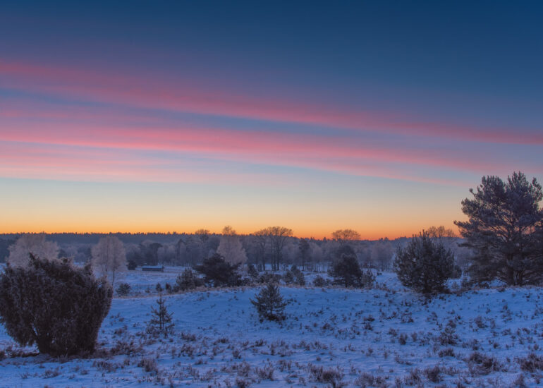 Ein Wochenende in der Winterheide 6 Winterheide II