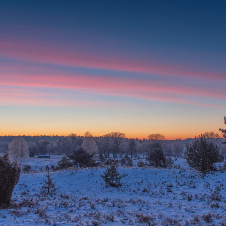 Winterheide II