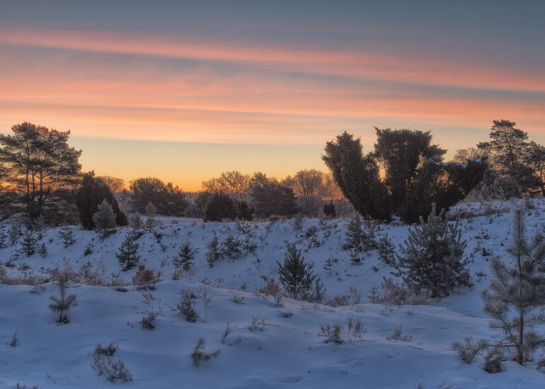 Ein Wochenende in der Winterheide 7 Lüneburger Heide Impressionen im Winter zum Sonnenaufgang