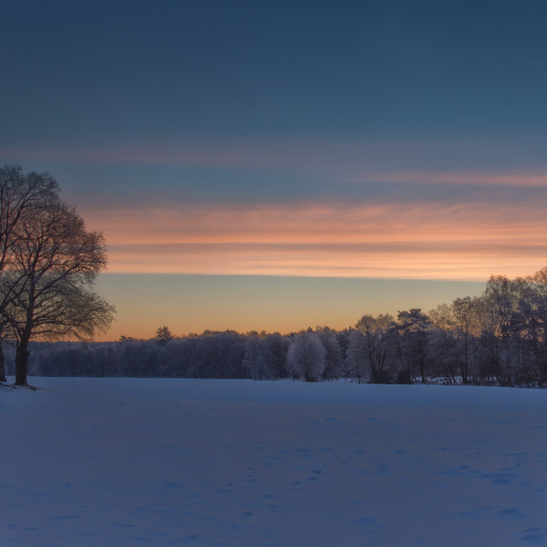 Winterheide IV