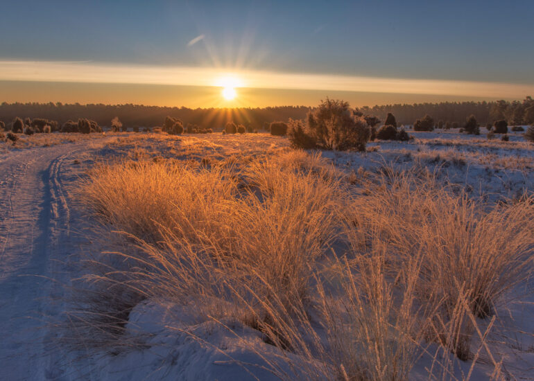 Ein Wochenende in der Winterheide 8 Sonnenaufgang in der Lüneburger Heide im Winter