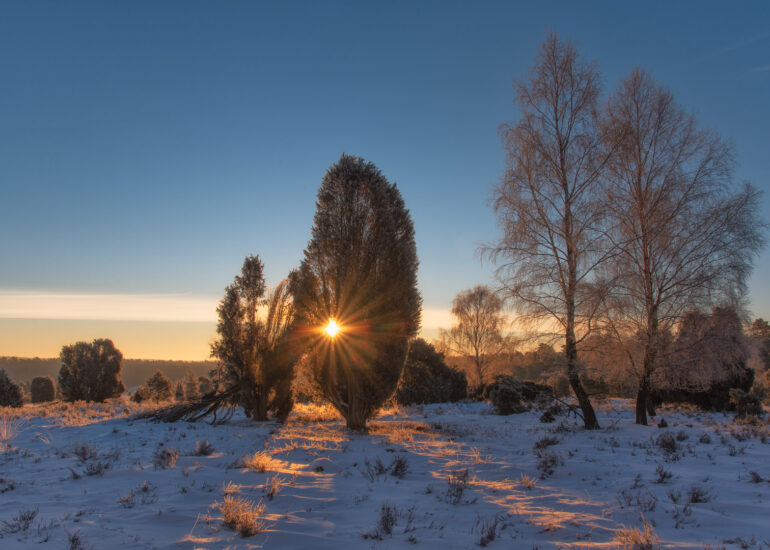 Ein Wochenende in der Winterheide 10 Lüneburger Heide im Winter bei Wanderung zum Sonnenaufgang