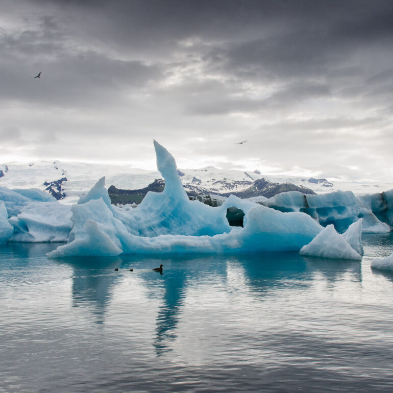 Jökulsárlón Gletscherlagune mit Entenfamilie