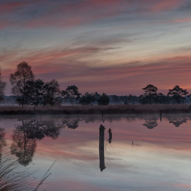 Morgenstimmung im Pietzmoor in der Lüneburger Heide
