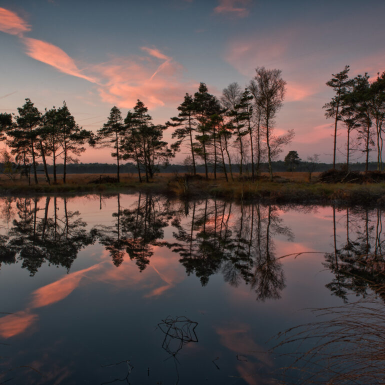 Sonnenaufgang im Pietzmoor in der Lüneburger Heide
