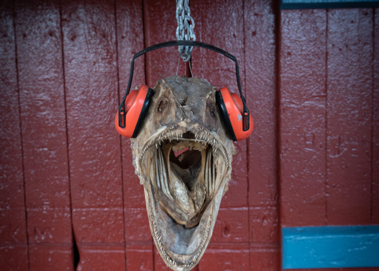 Lofoten - Wanderung auf den Munken 3 Stockfisch in A i Lofoten in Moskenesoya