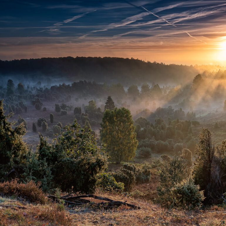 Totengrund in der Lüneburger Heide bei Sonnenaufgang Nebelstimmung