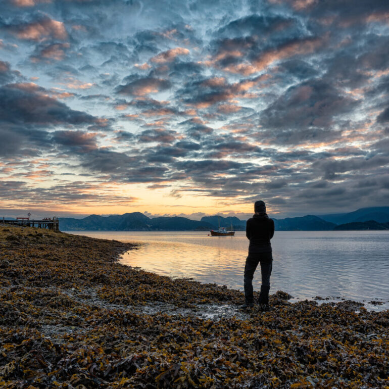 Morgenstimmung zum Sonnenaufgang am Fjord in Norwegen