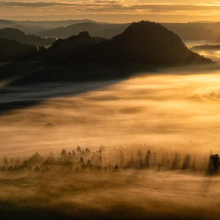 Morgennebel im Kleinen Zschandtal in der Sächsischen Schweiz bei Sonnenaufgang