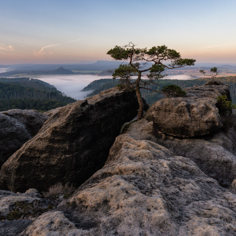 Lehnriff am Morgen in der Sächsischen Schweiz im Elbsandsteingebirge